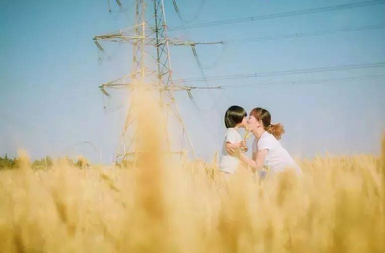 新澳门最精准正最精准龙门,探索与揭秘,新澳门最精准正龙门探索揭秘攻略