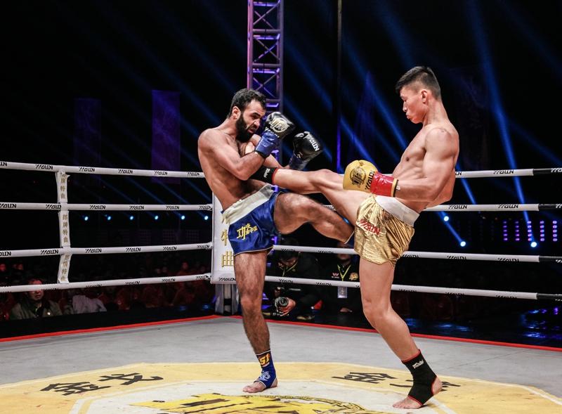 王中王四肖一码资料论坛——深度解析与探讨,王中王四肖一码资料论坛,深度探讨与解析