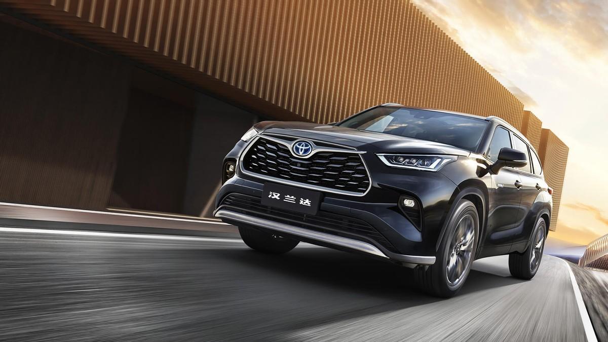 四肖期期中一王中王论坛,深度解析与探讨,四肖期期中一王中王论坛深度探讨与解析