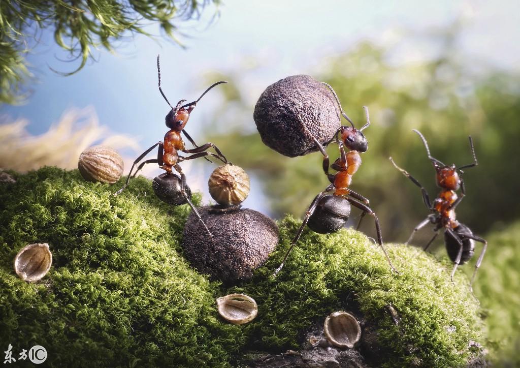 军事实力与民族精神