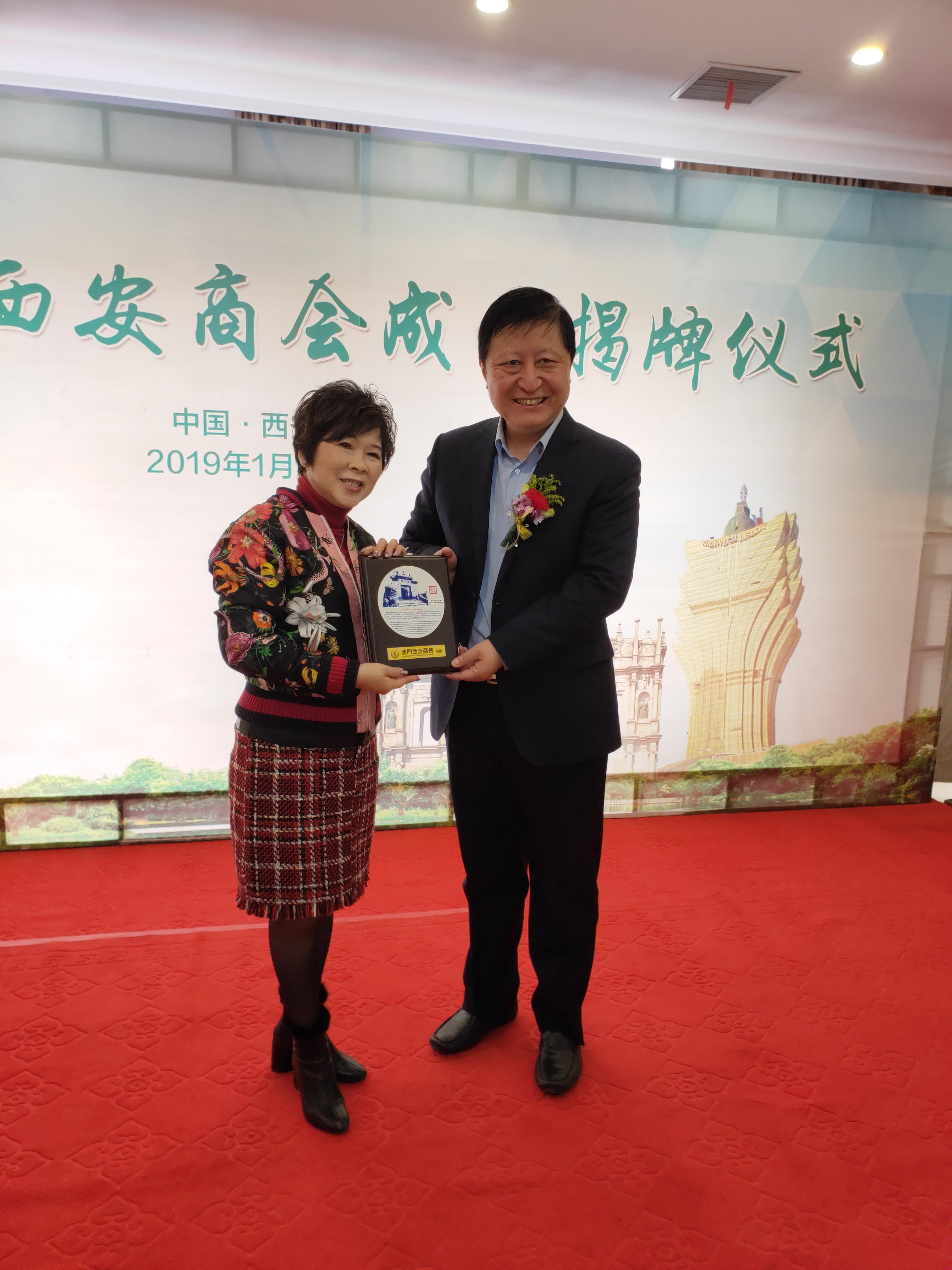 新澳门一肖单像,探索与解读,新澳门一肖单像,解读与探索之旅