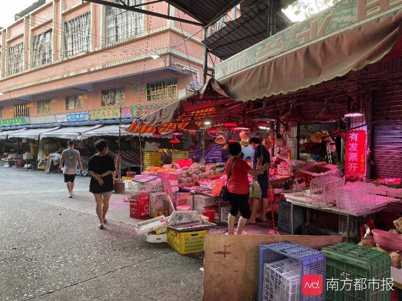 新澳门最快开奖现场直播方法下载详解，澳门最新开奖直播下载指南，快速观看开奖现场直播的方法