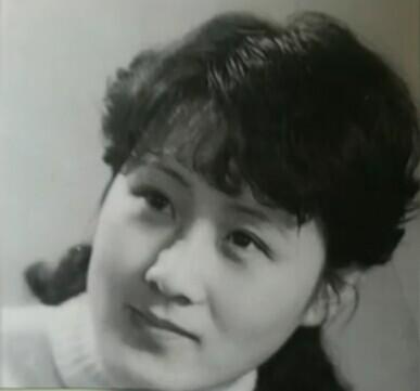 直20直升机与直18,空中力量的新星与支柱,直20直升机与直18,空中力量的新星与核心支柱