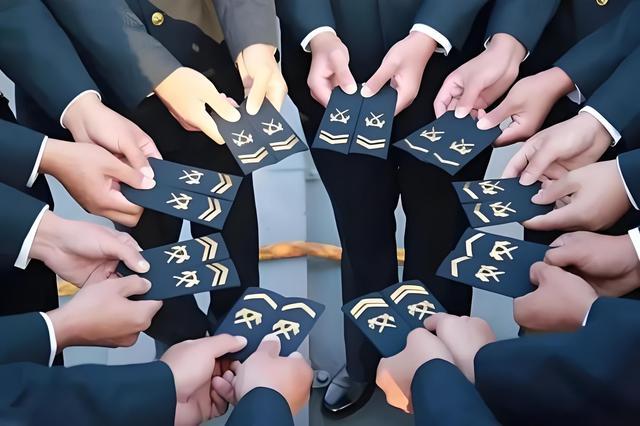 直招军官含金量高的探讨,直招军官含金量深度解析