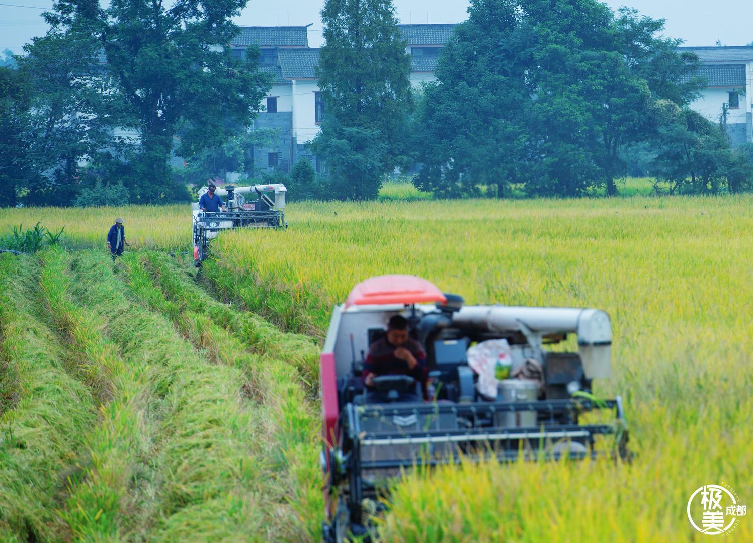 探索未来,2025精准资料免费大全,探索未来,2025精准资料免费大全手册