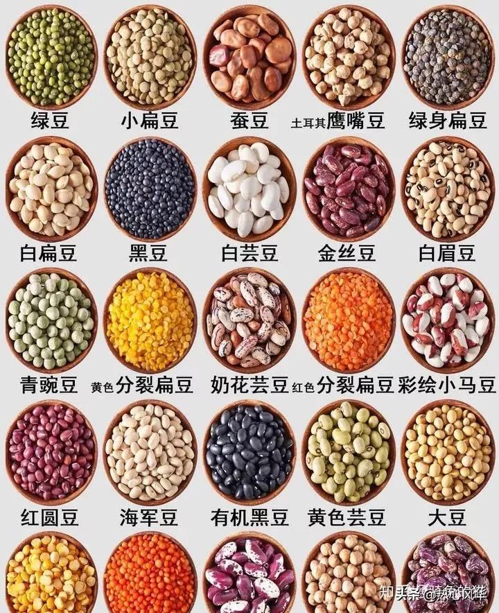 十四集团军四十师一一九团，英勇抗战的辉煌历程，十四集团军四十师一一九团，英勇抗战的辉煌历程回顾