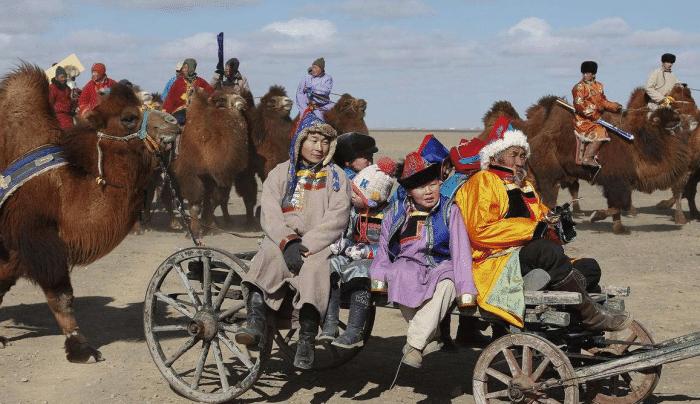 蒙古国军事实力怎么样?深度解析其军事实力与发展趋势,深度解析,蒙古国军事实力及未来发展趋势