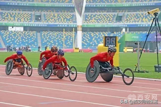 探索未来的澳门——关于新澳门资料鸡号的深度解析,澳门未来展望,深度解析新澳门资料鸡号