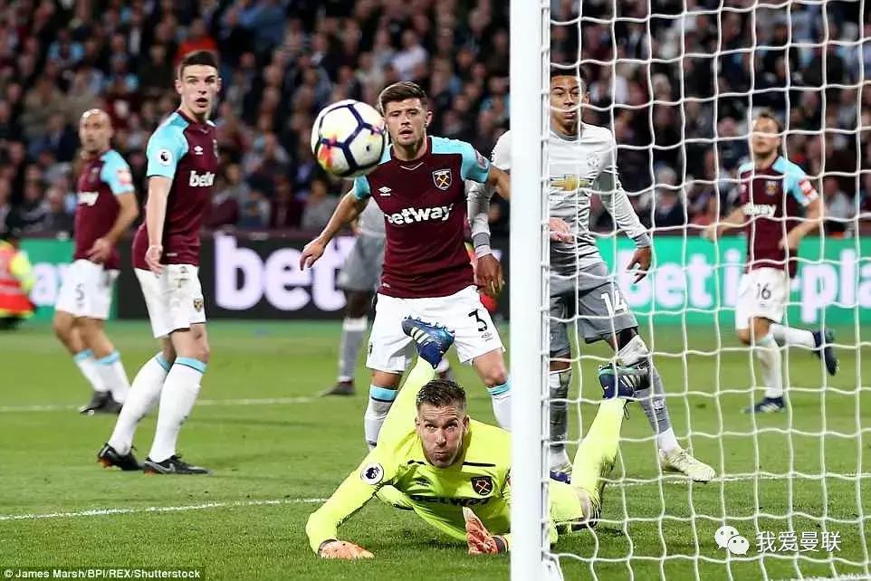 二肖一码,探索与解析,二肖一码,深度探索与解析