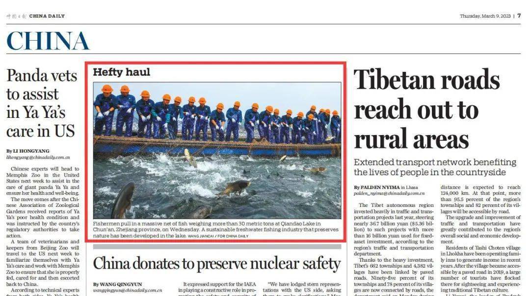 最新国际新闻报道标题及其深度解析,国际新闻最新报道汇总与深度解析