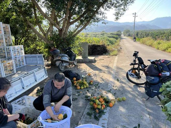 台湾最新消息与动态直播,2023年11月24日深度报道,台湾最新消息与深度报道,2023年11月24日动态直播更新