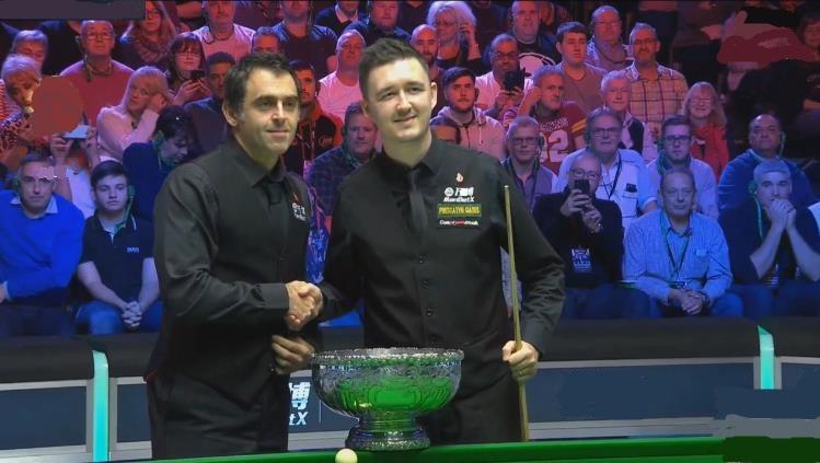 王中王资料一肖中特与王中的世界,深度解析与探索,王中与王中的世界,深度解析与探索的资料揭秘