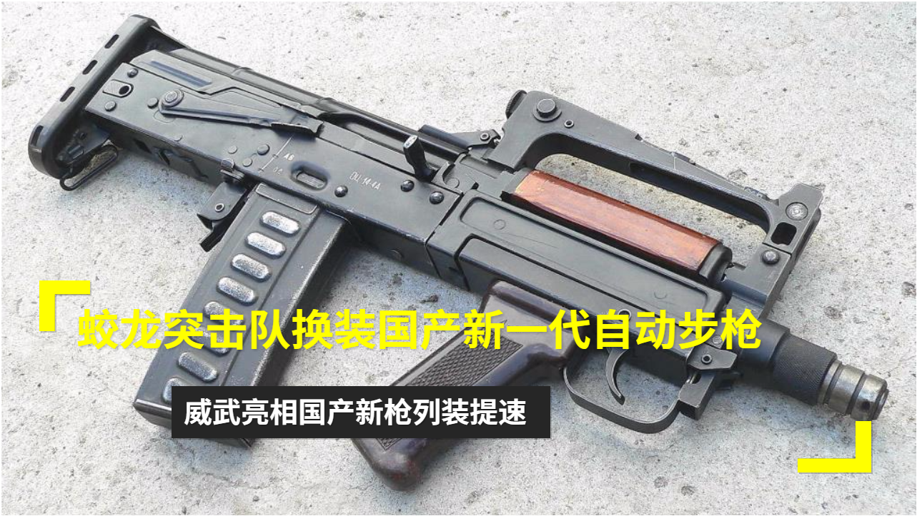 蛟龙突击队使用的枪支类型研究,蛟龙突击队枪支类型深度解析