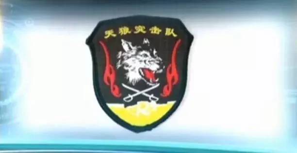 揭秘蛟龙突击队臂章高清背后的故事,揭秘蛟龙突击队臂章高清背后的传奇故事