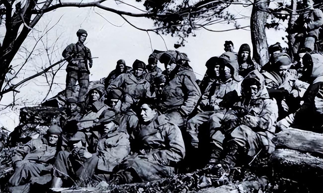 宣布进入一级战备状态,国家安全的最高警戒,国家进入一级战备状态,国家安全面临最高警戒