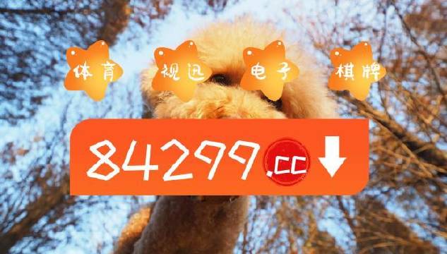 今晚一肖白小姐一肖一码正版,揭秘神秘数字背后的故事,揭秘,白小姐一肖一码正版背后的神秘数字故事