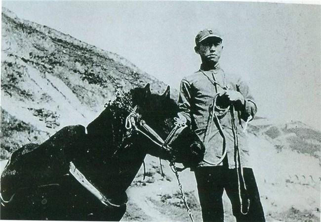 志愿军军歌与朝鲜的不解之缘，志愿军军歌与朝鲜的不解之缘，一段跨越国界的英勇传奇