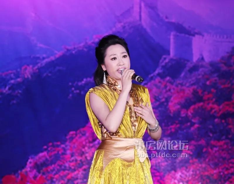 朝鲜中国歌曲联唱,跨越国界的音乐交流与文化融合,朝鲜中国歌曲联唱,跨越国界的音乐交流,文化融合之夜