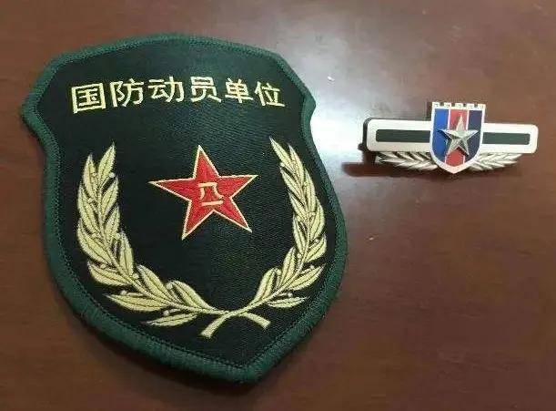 国防动员部胸标,象征国家动员力量的荣耀标识,国防动员部胸标,国家动员力量的荣耀象征