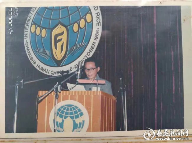 王中王86期指一生肖——探寻背后的故事与寓意,王中王86期生肖背后的故事与寓意探寻