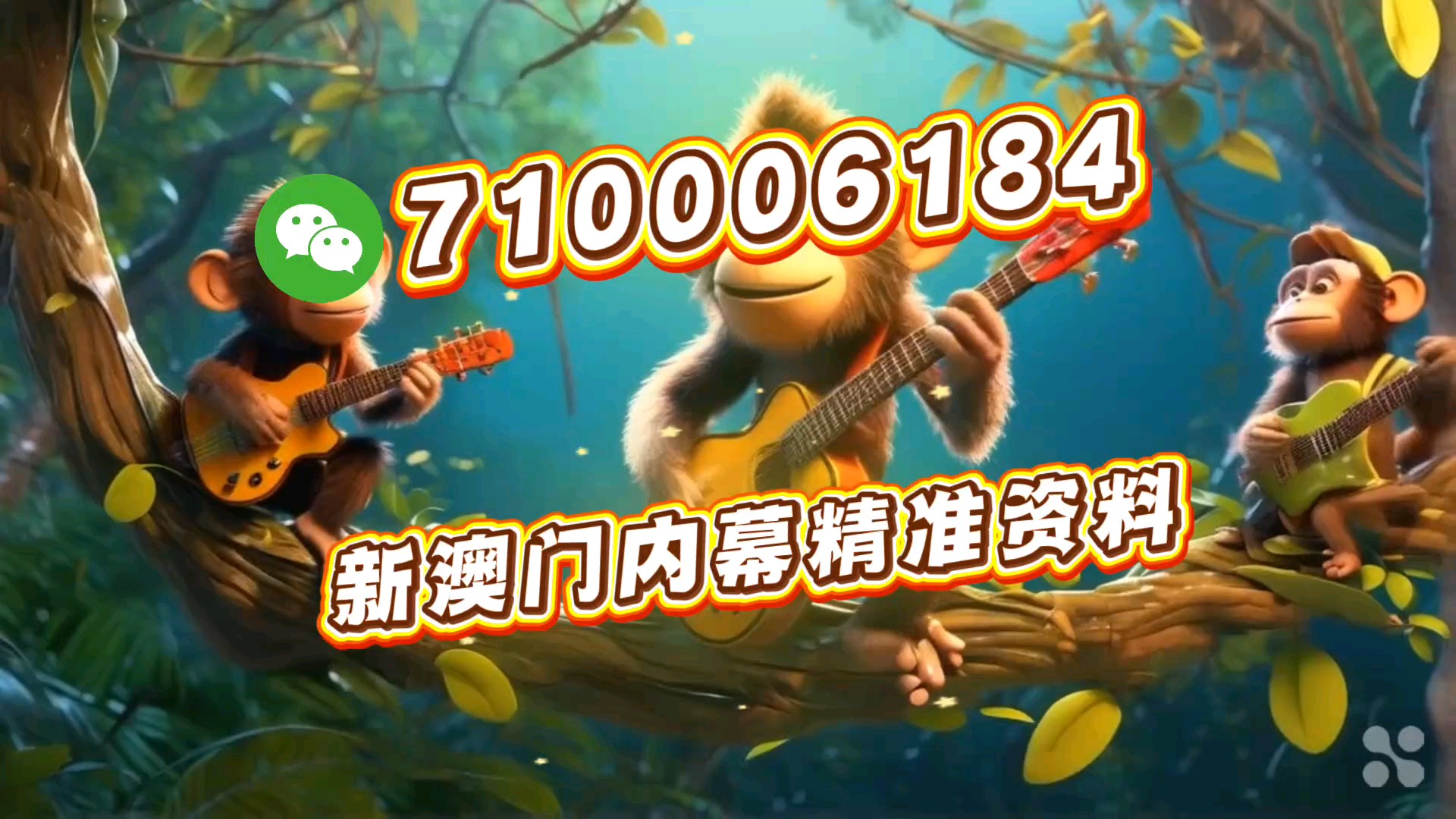 澳门一肖一码一必中一肖雷锋——探寻幸运背后的精神力量,澳门一肖一码背后的精神力量探寻,雷锋精神的启示