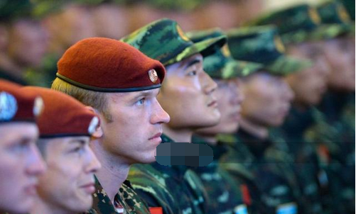 中国武警网最新消息全面解读,中国武警网最新消息全面解读与分析