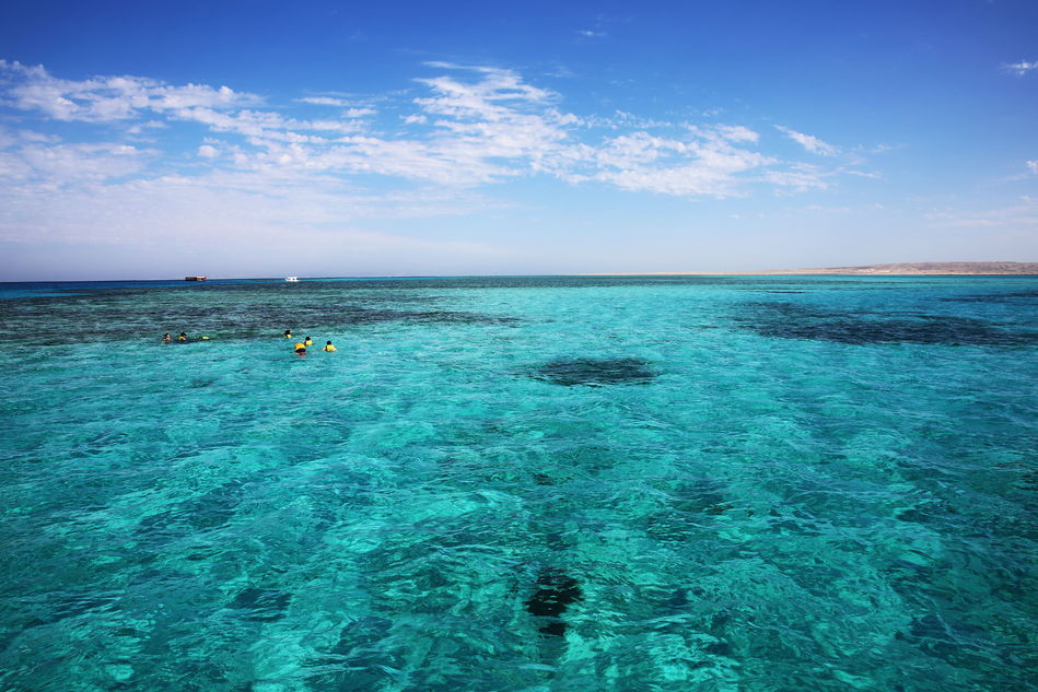 凤凰网新闻与红海战略,新闻媒体的数字化转型之路,凤凰网新闻与红海战略,新闻媒体数字化转型的探索之路