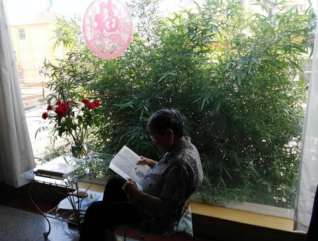 全球热点事件深度解析