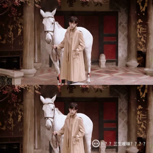 预测背后的秘密故事