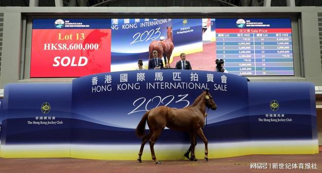 关于香港特马今晚开奖的探讨,香港特马今晚开奖探讨与分析