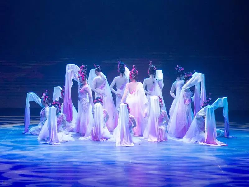 澳门今晚必开一肖与舞蹈的奇妙交融,澳门今晚生肖与舞蹈的奇缘交汇