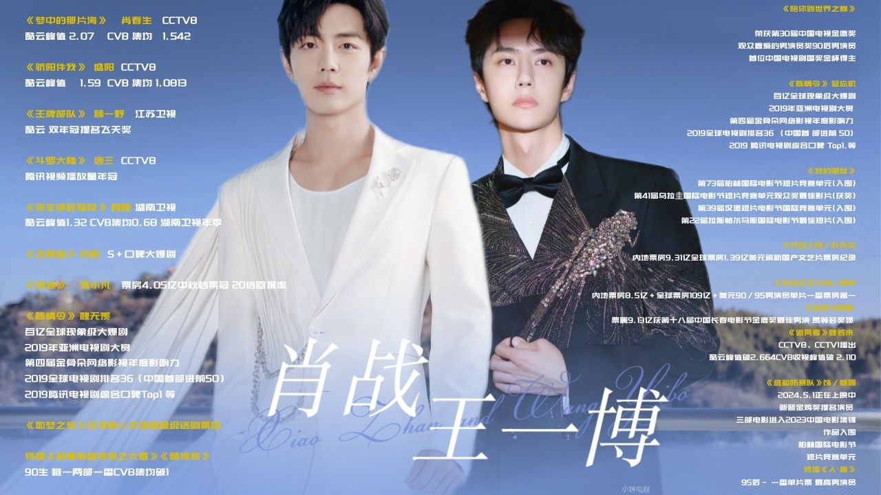 王中王一肖大公开资料,王中王一肖独家公开资料揭秘