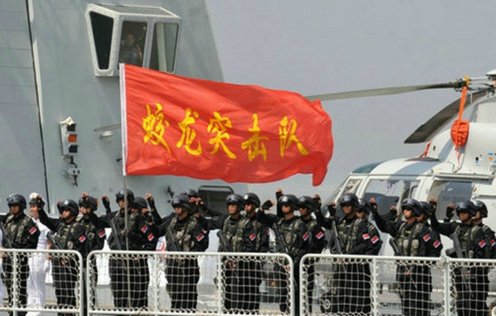 蛟龙突击队臂章介绍,荣耀与使命的象征,蛟龙突击队臂章,荣耀与使命的标志介绍