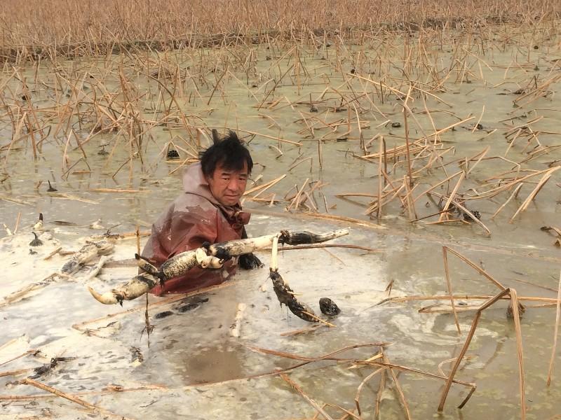 裤裆里藏雷能否实现,现实与想象的边界探讨,裤裆里藏雷的想象与现实探讨,现实与想象边界的探索