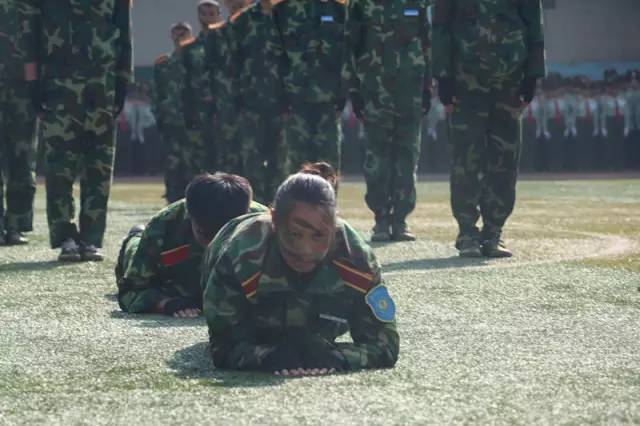 国防军事互联网产品,重塑现代战争形态的关键要素,国防军事互联网产品,重塑现代战争形态的核心驱动力