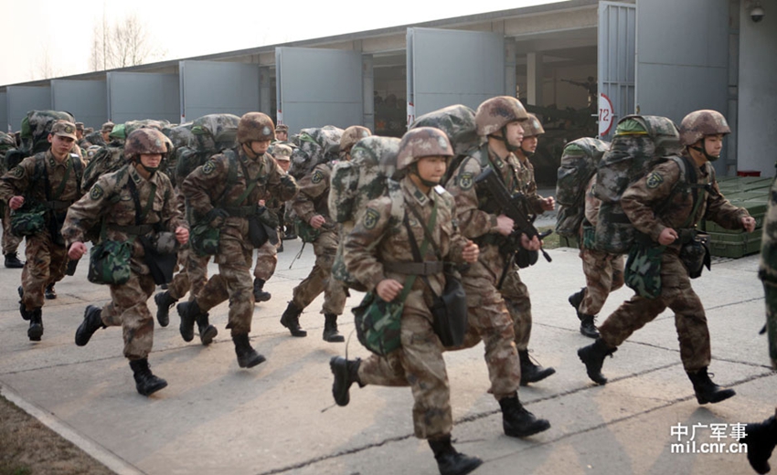 国内集团军的数量与布局,深度解析,深度解析,国内集团军的数量与布局概况