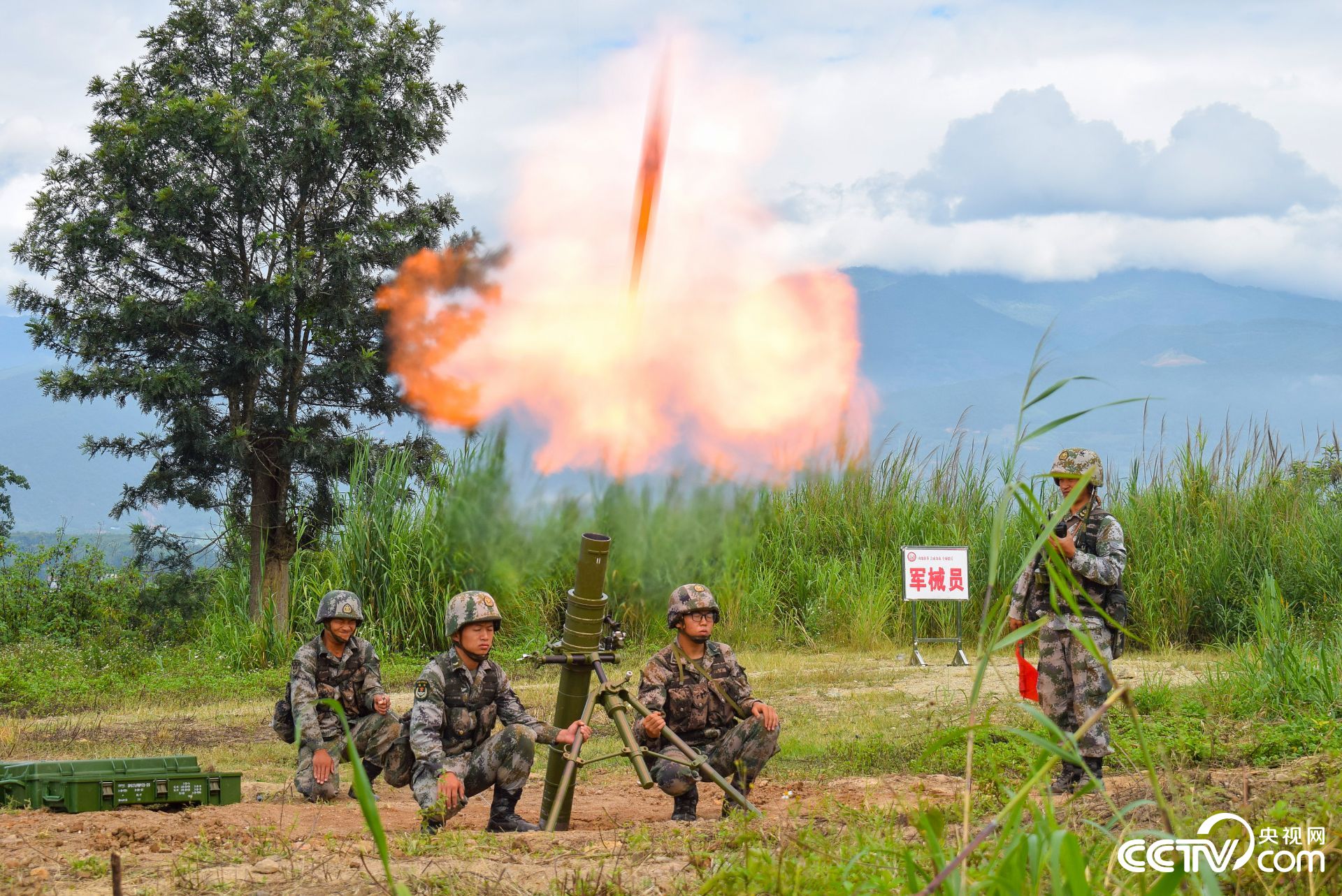 林中高手王中王，打准一肖的传奇故事，林中高手王中王，传奇般的生肖预测故事
