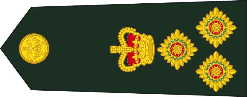 各国的军衔等级及标志,全球军事荣誉体系概览,全球军衔等级与荣誉体系概览