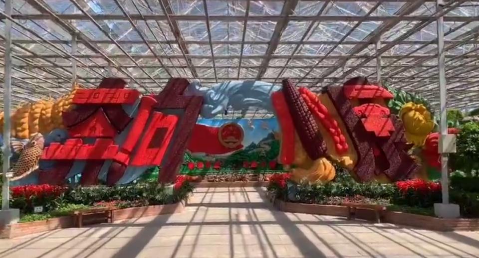 一点资讯，引领数字时代的资讯新风尚，一点资讯，数字时代的资讯引领风尚