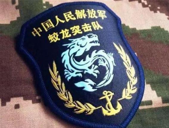 揭秘蛟龙突击队臂章高清图背后的故事，揭秘蛟龙突击队臂章背后的故事与高清图展示