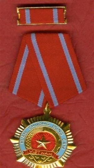 解放军勇士勋章代表什么,解放军勇士勋章,荣誉与勇气的象征