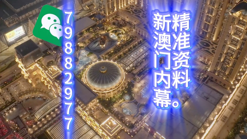 新澳门精准三肖三码中特,探索与解析,澳门精准三肖三码中特解析与探索