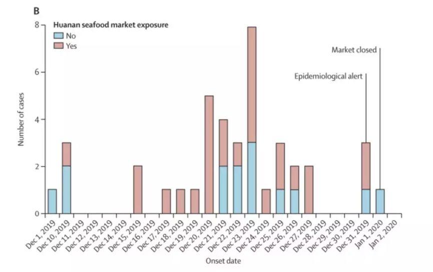 华南海鲜市场并非新冠病毒发源地,华南海鲜市场与新冠病毒起源之谜