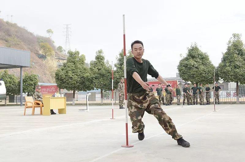 武警选拔,机遇与挑战并存,武警选拔,机遇与挑战的交织