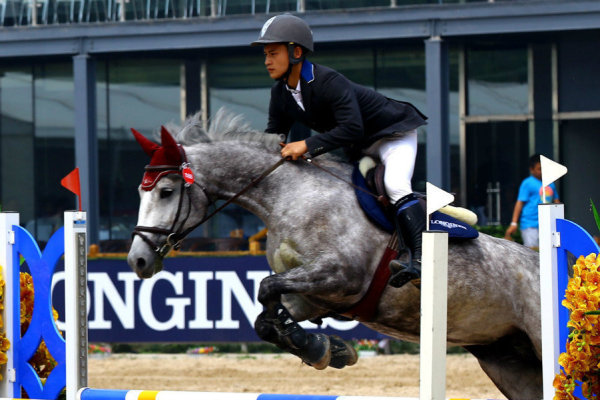澳门最准的四不像资料游戏,探索与解析,澳门四不像游戏资料解析,探索最准确的游戏玩法