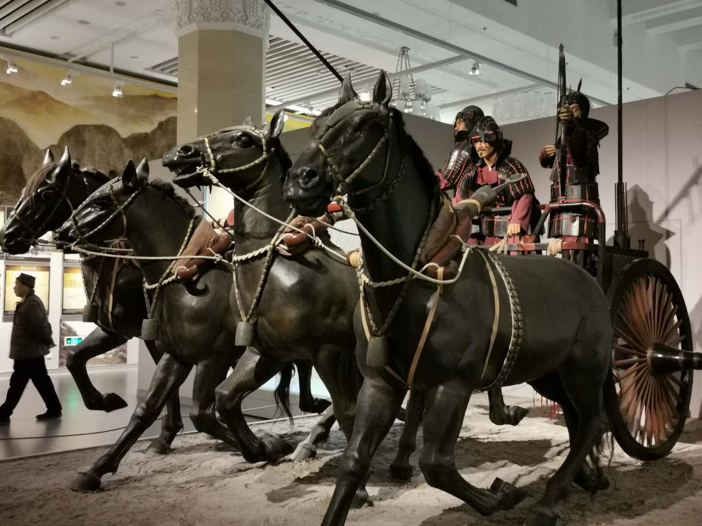中央四位女军事专家,智慧与勇气的化身,中央四位女军事专家,智慧与勇气的卓越代表