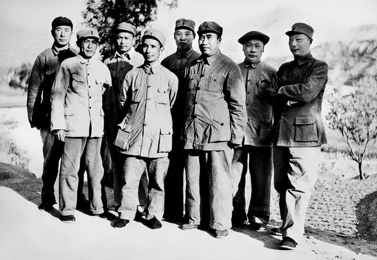 中央四位女军事专家,智慧与勇气的化身,中央四位女军事专家,智慧与勇气的卓越代表