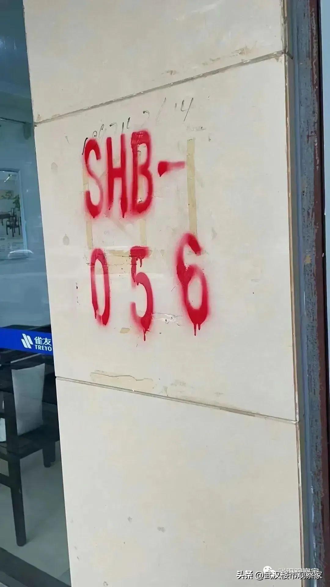 最新消息范文,科技创新引领未来,引领社会变革的新动态,科技创新驱动未来社会变革,最新动态引领时代风潮