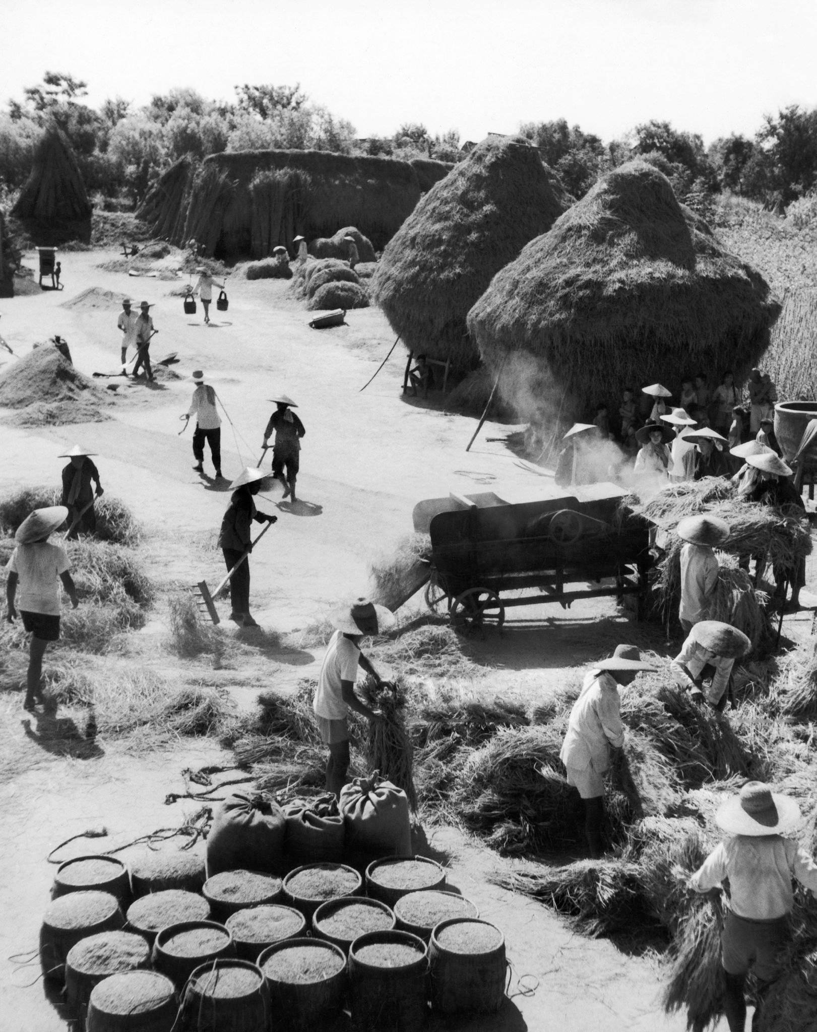 库存六十年代老式军用品,历史的印记与收藏的魅力,六十年代老式军用品库存,历史印记的收藏魅力