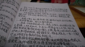 新闻摘抄,聚焦十一月的重要时刻,十一月重要时刻回顾,新闻聚焦时刻